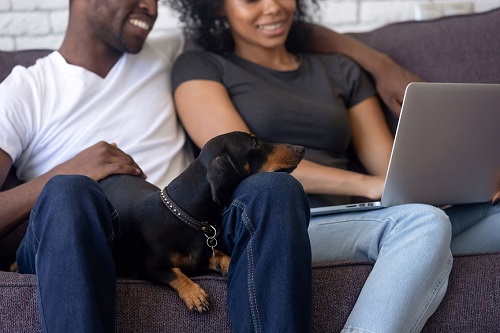 Choose the right type of home insurance